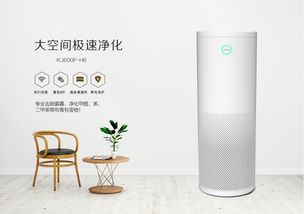 歐朗德斯 以德國匠心打造高效除醛利器，實用性深度解析